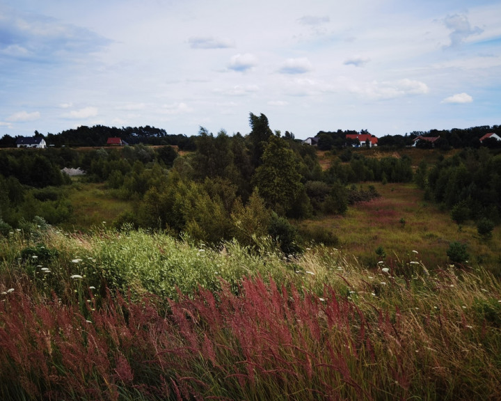 Działka Sprzedaż Kołczewo