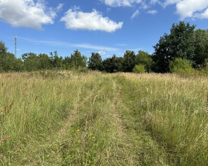 Działka Sprzedaż Trzebiatów