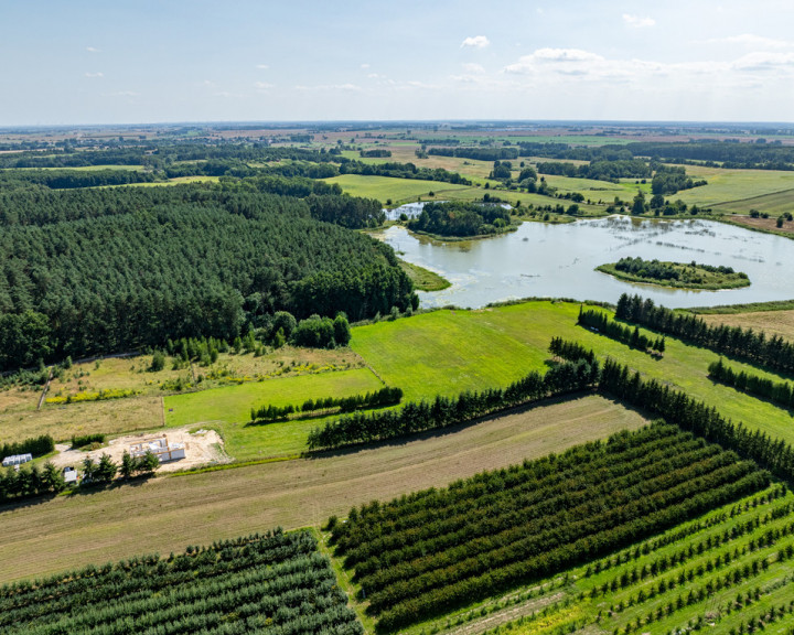 Działka Sprzedaż Binowo