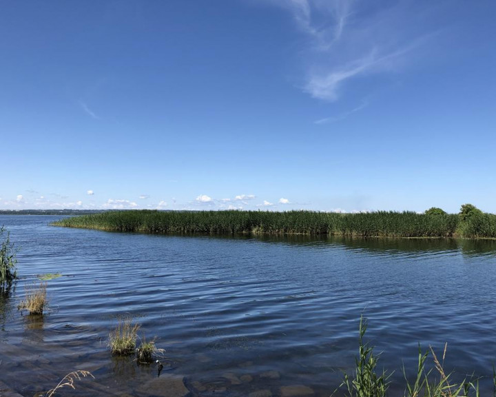 Działka Sprzedaż Czarna Łąka Tęczowa