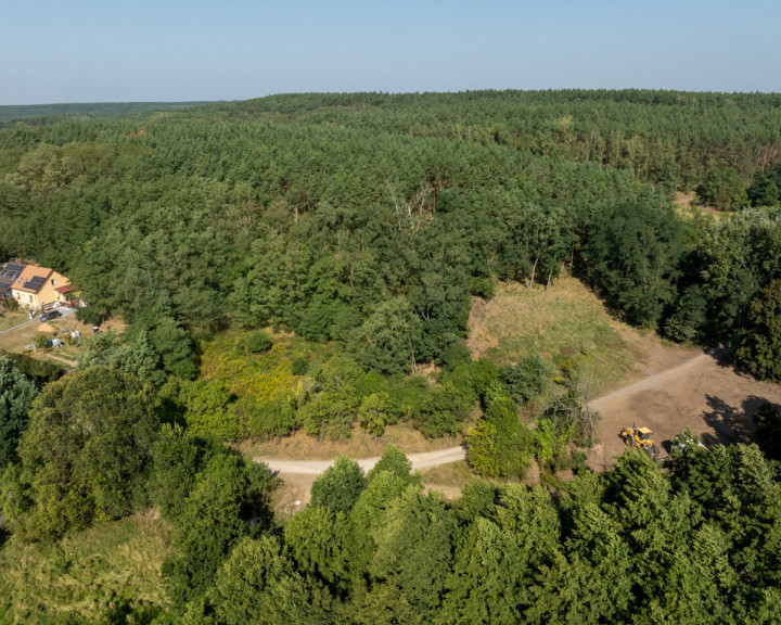 Działka Sprzedaż Stary Błeszyn