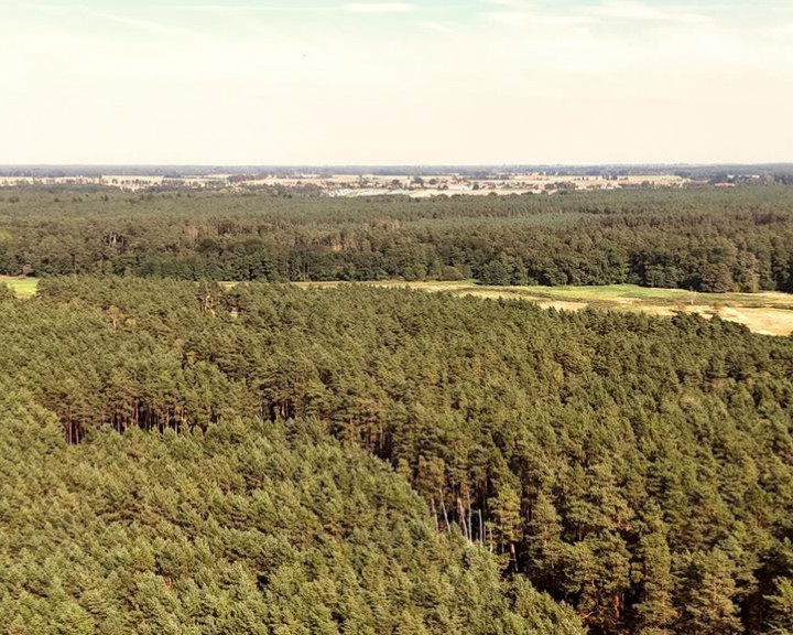 Działka Sprzedaż Strumiany