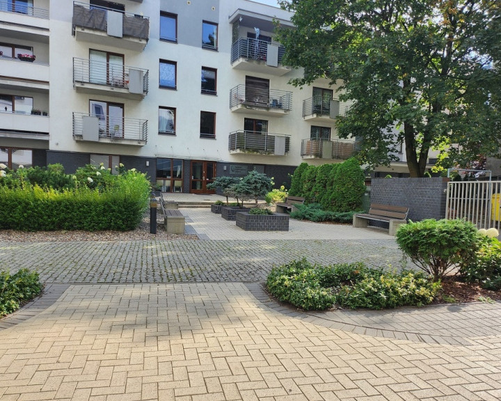 Mieszkanie Wynajem Szczecin Śródmieście-Centrum Parkowa