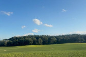 Działka Sprzedaż Buk