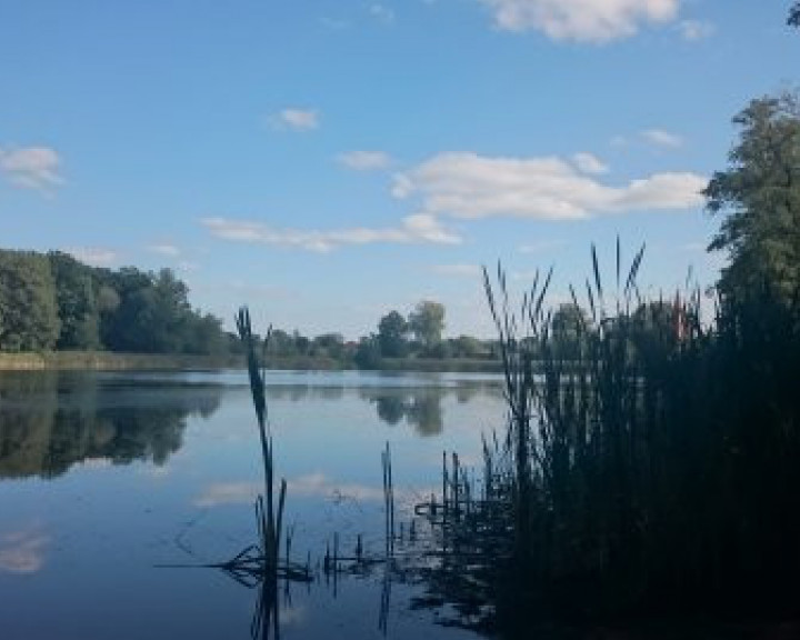 Działka Sprzedaż Radzanek