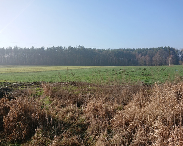 Działka Sprzedaż Raduń