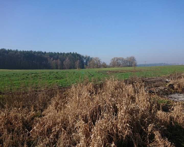 Działka Sprzedaż Raduń