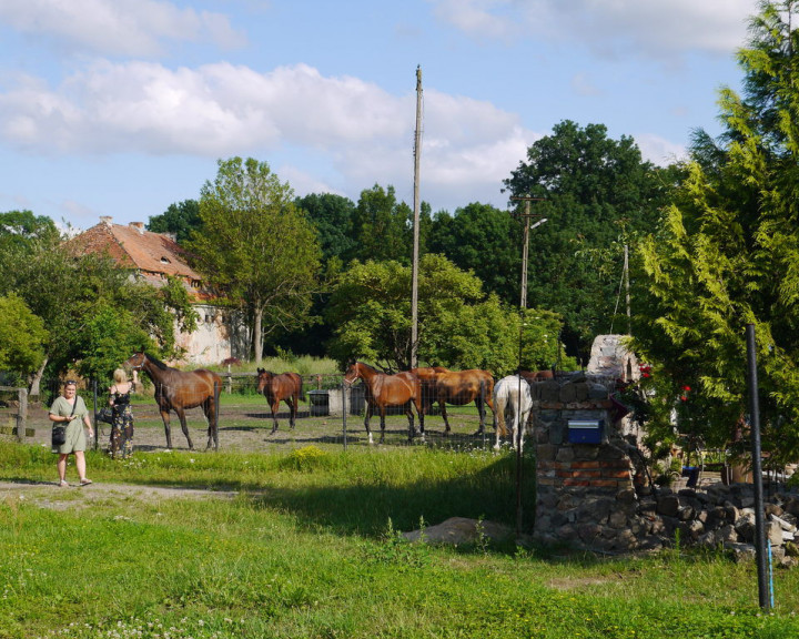 Obiekt Sprzedaż Sulimierz