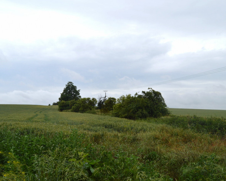 Działka Sprzedaż Kamieniec