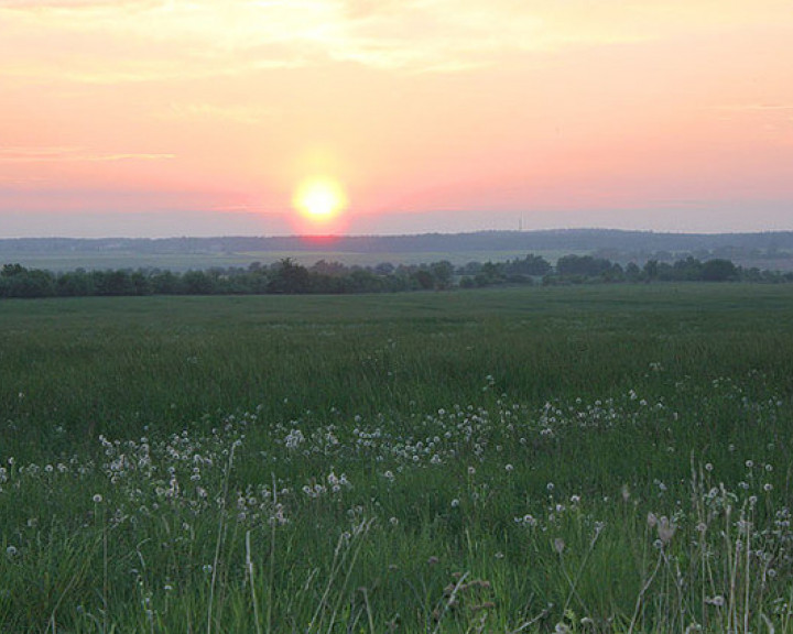 Działka Sprzedaż Bobolin