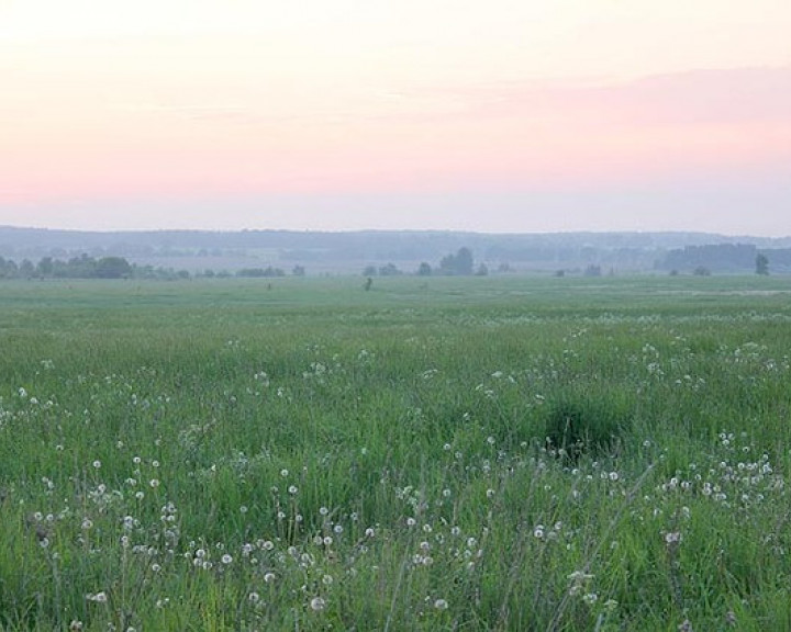 Działka Sprzedaż Bobolin