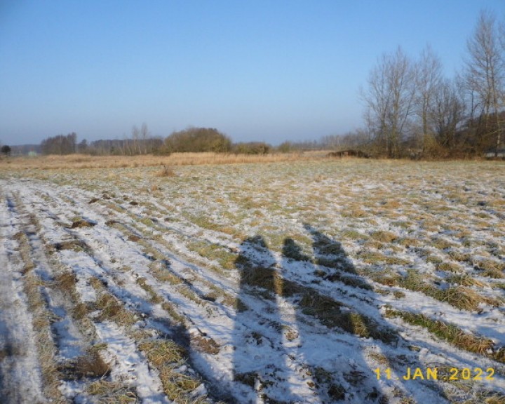 Działka Sprzedaż Brzózki