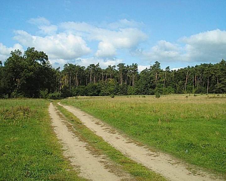 Działka Sprzedaż Kościno