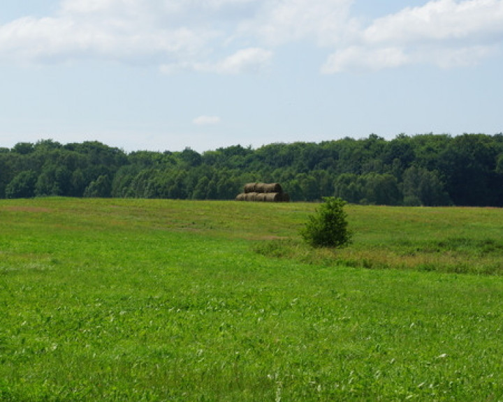 Działka Sprzedaż Bobolice