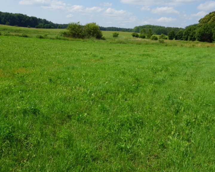 Działka Sprzedaż Bobolice