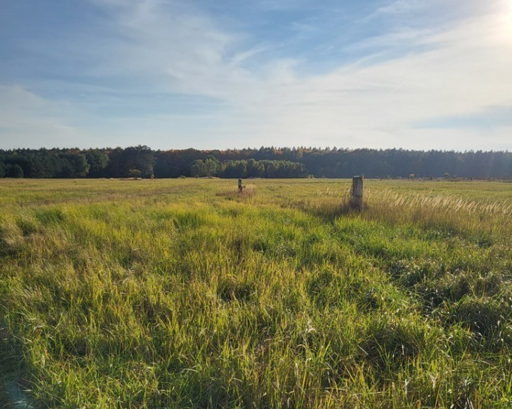 Działka Sprzedaż Białuń