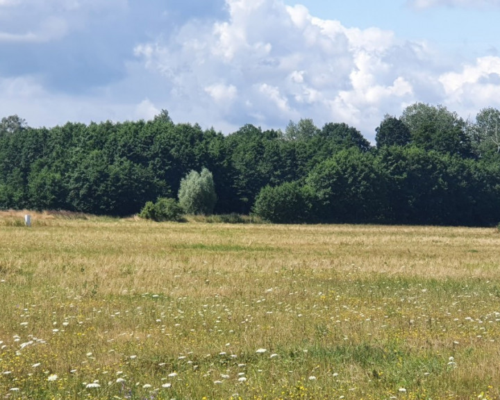 Działka Sprzedaż Szczecin Skolwin