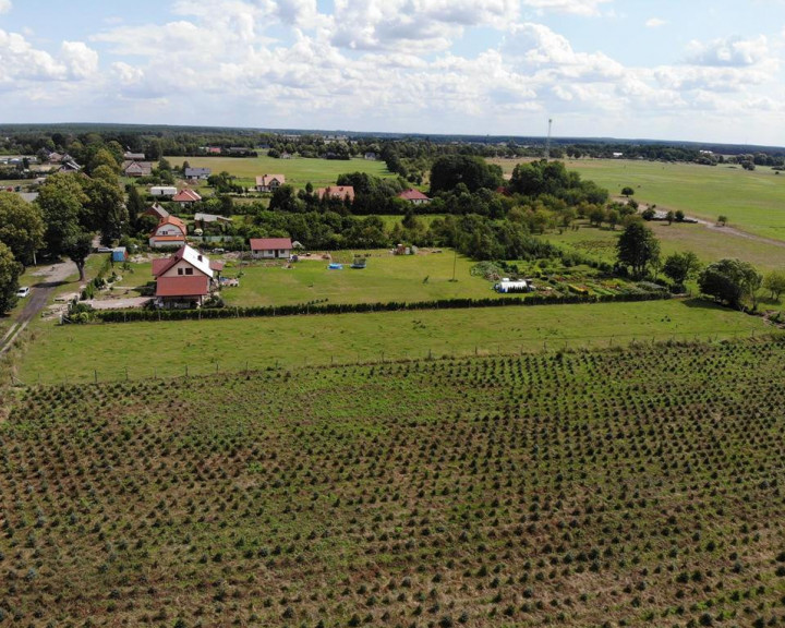 Działka Sprzedaż Krępsko