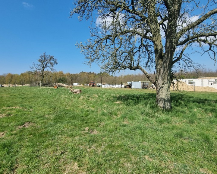 Działka Sprzedaż Szczecin Skolwin