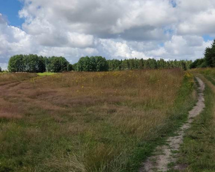 Działka Sprzedaż Pobierowo