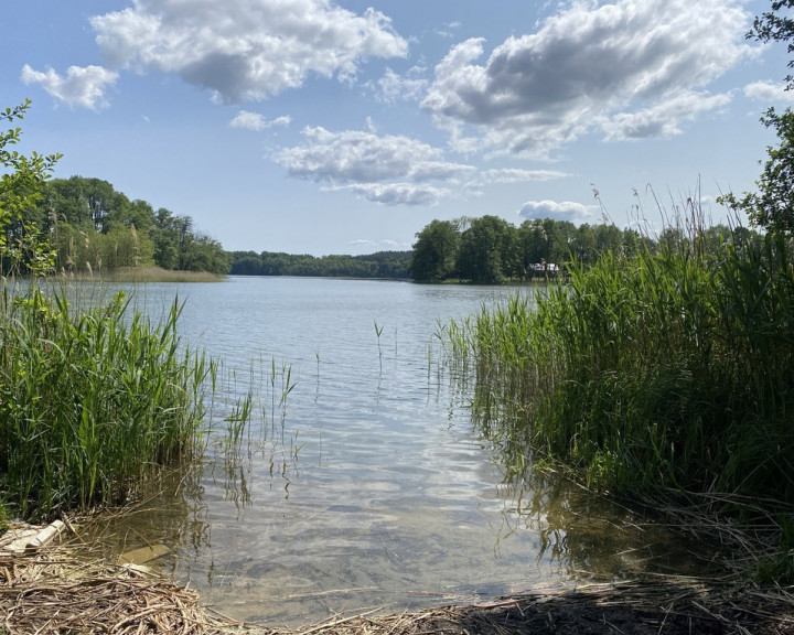 Działka Sprzedaż Przybiernów