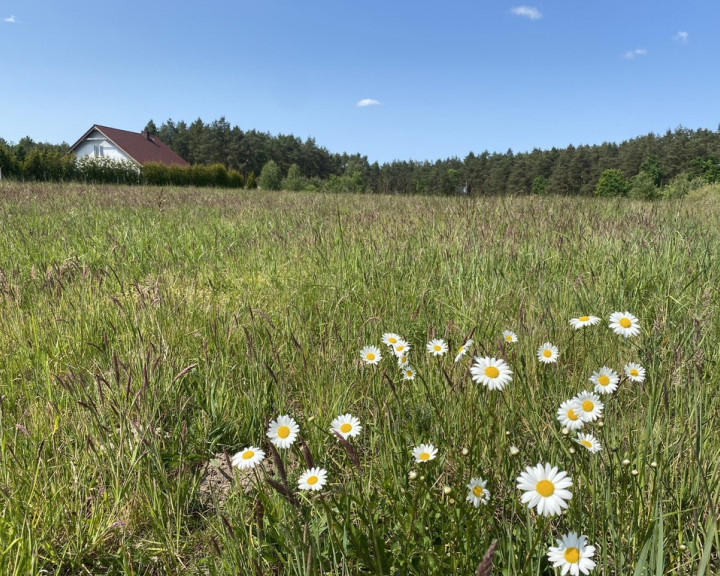 Działka Sprzedaż Przybiernów