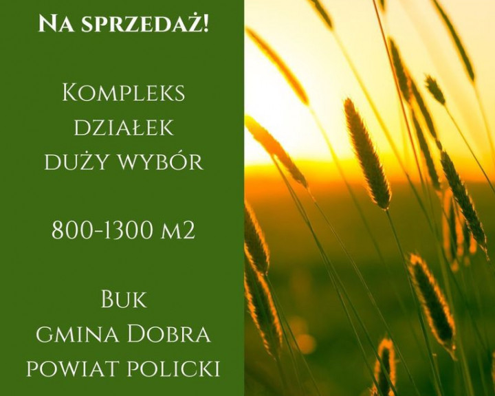 Działka Sprzedaż Buk