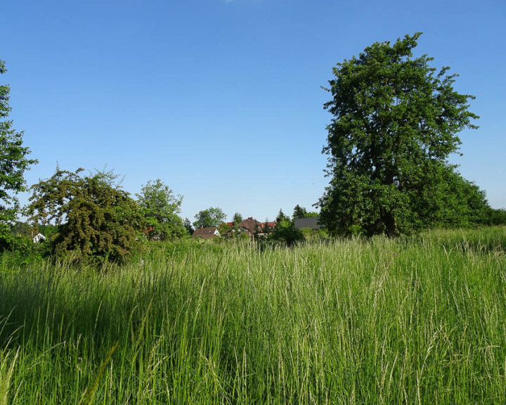 Działka Sprzedaż Binowo