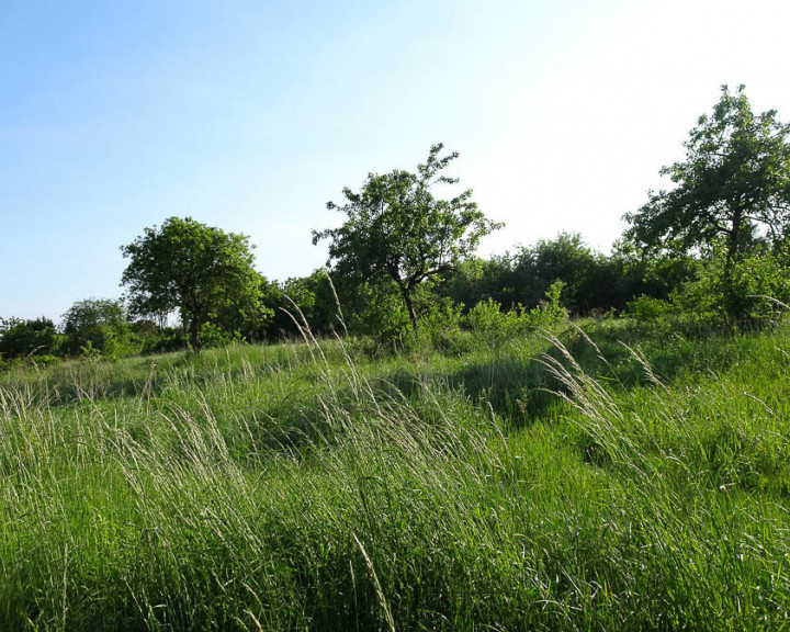 Działka Sprzedaż Binowo