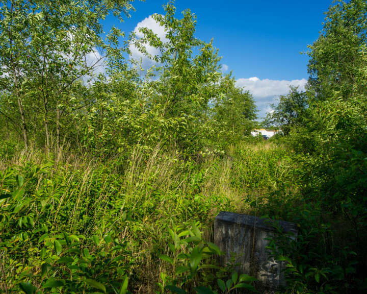 Działka Sprzedaż Rurzyca