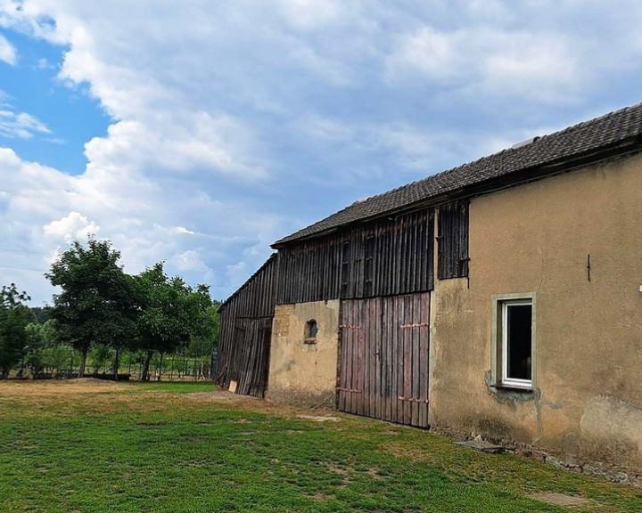 Działka Sprzedaż Podlesie