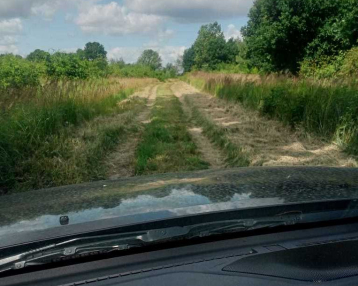 Działka Sprzedaż Stara Dąbrowa