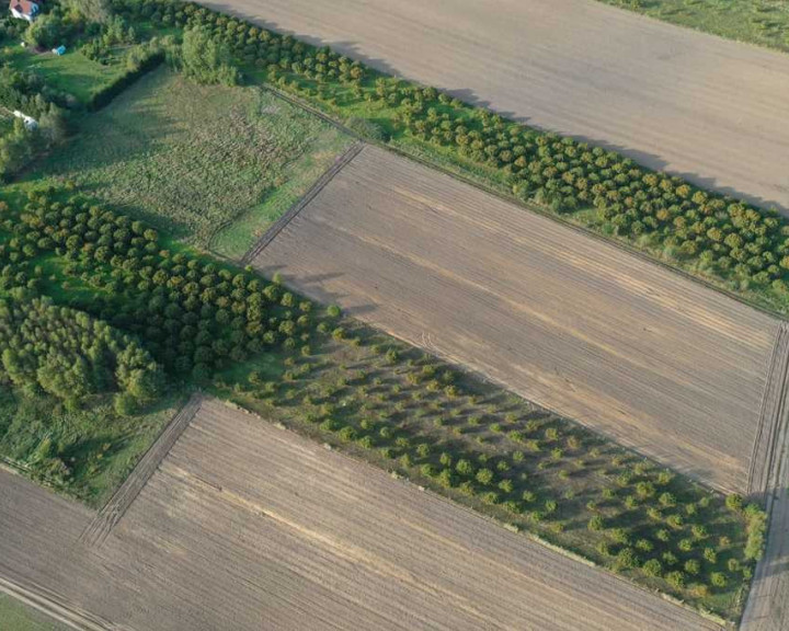 Działka Sprzedaż Imno