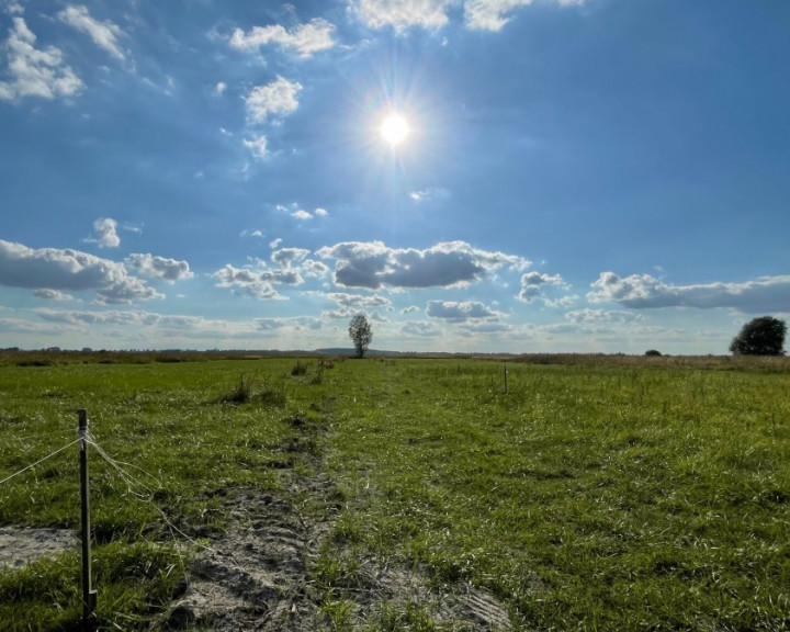 Działka Sprzedaż Wierzbno