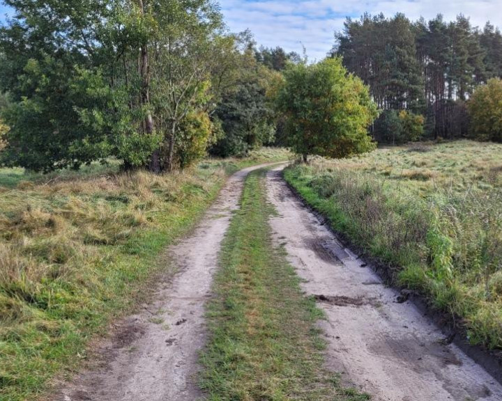 Działka Sprzedaż Warnowo