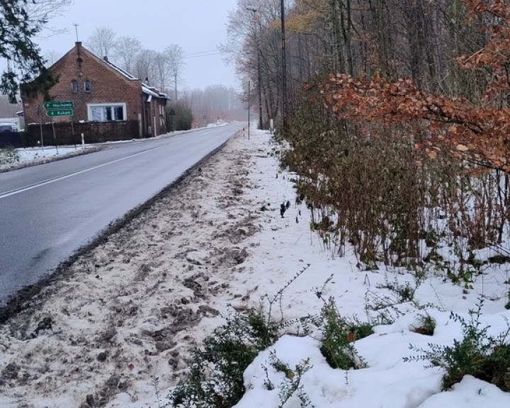 Dom Sprzedaż Zaleszczyce Popiele