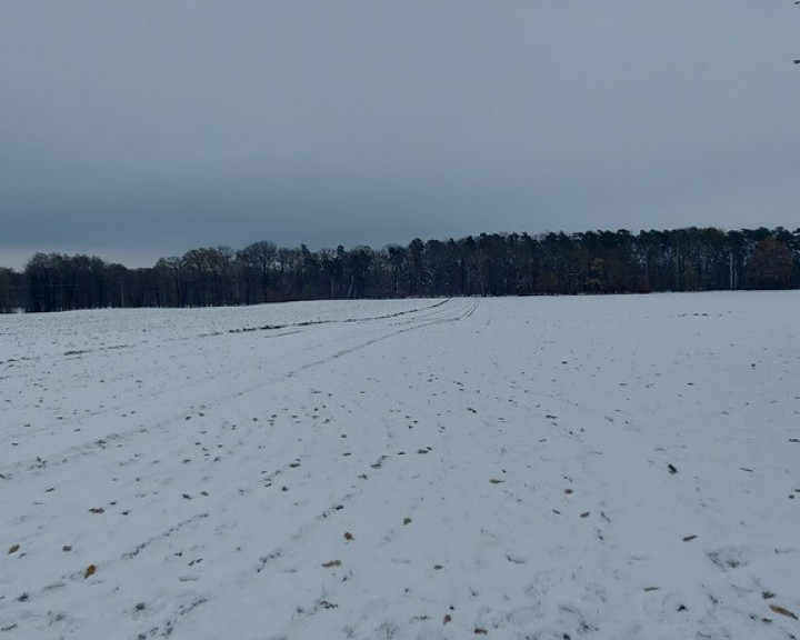 Działka Sprzedaż Budzieszowce