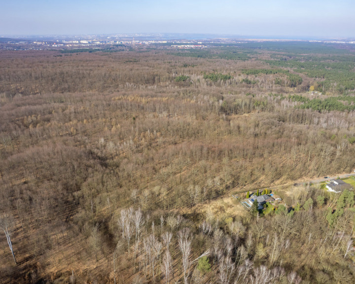 Działka Sprzedaż Szczecin Płonia