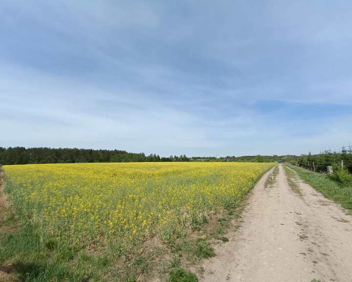 Działka Sprzedaż Stawno