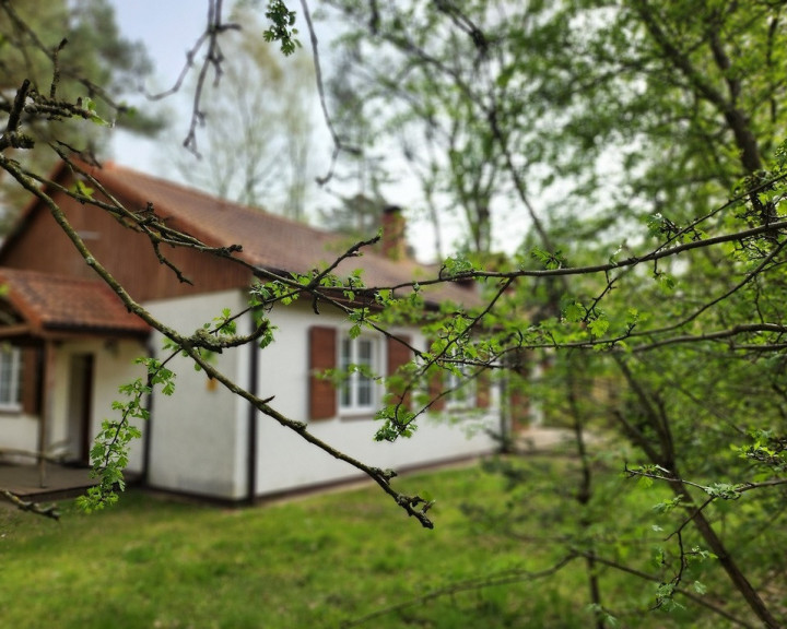 Dom Sprzedaż Pobierowo Łowicka