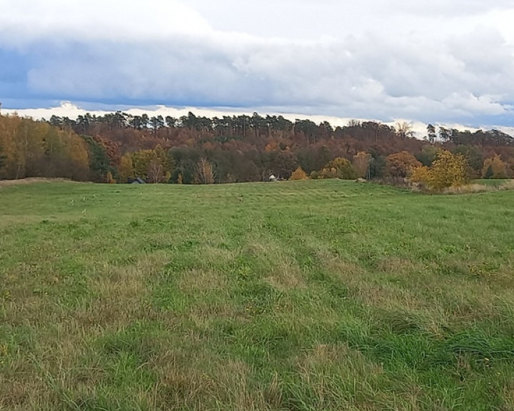 Działka Sprzedaż Steklno