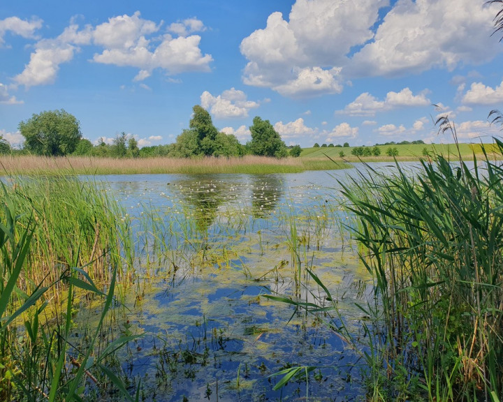 Działka Sprzedaż Zieleniewo