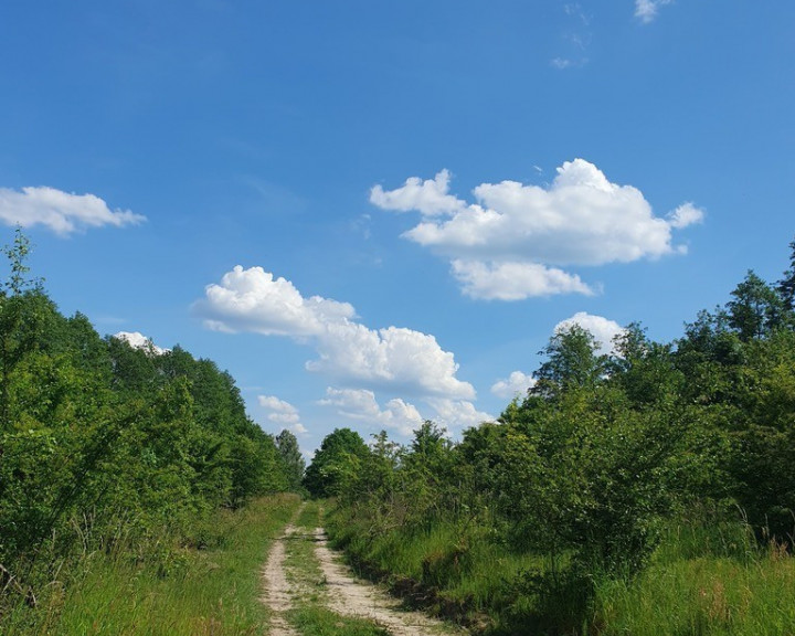 Działka Sprzedaż Zieleniewo