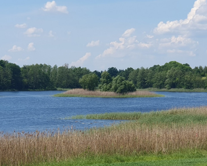 Działka Sprzedaż Zieleniewo