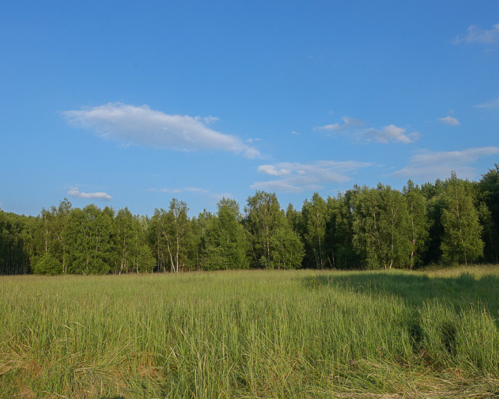 Działka Sprzedaż Grzepnica