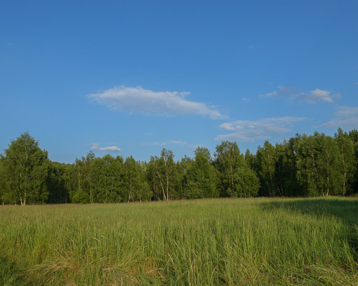 Działka Sprzedaż Grzepnica