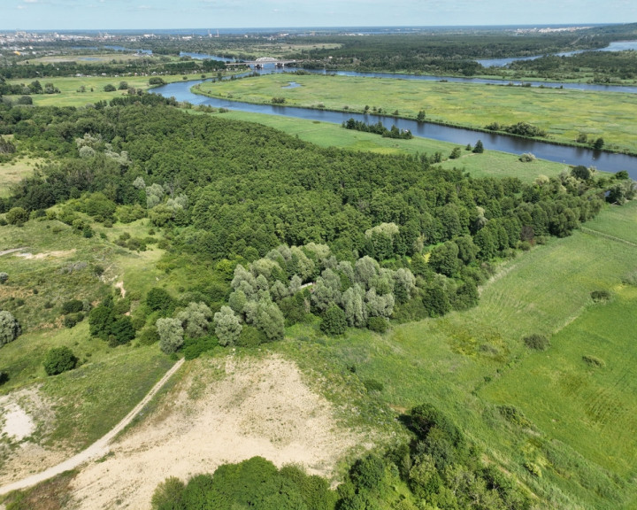 Działka Sprzedaż Kurów