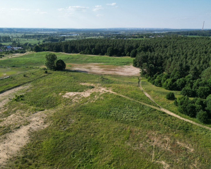 Działka Sprzedaż Daleszewo