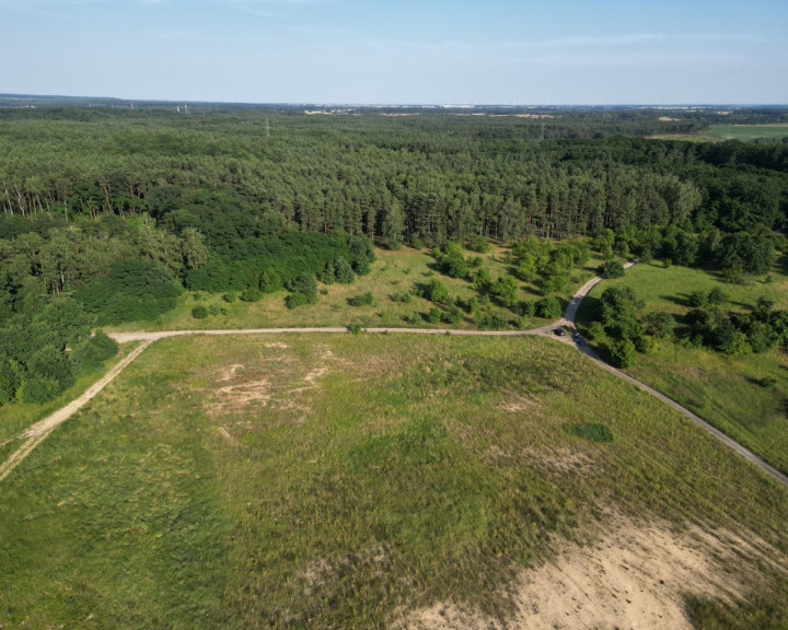 Działka Sprzedaż Daleszewo