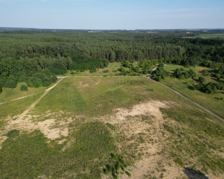 Działka Sprzedaż Daleszewo